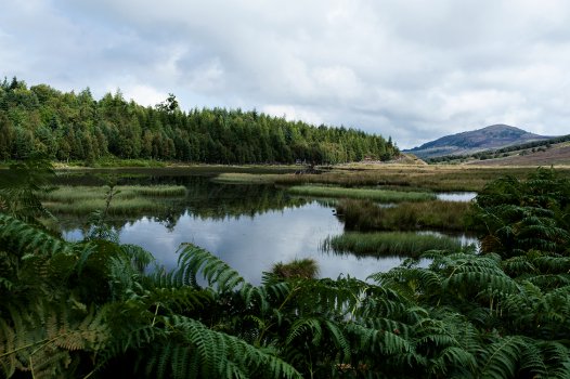 schottland,scotland, highlands, loch ness, inverness, cairngorms, landscape,nature, natur, wandern, hiking, landschaft, wald, forest